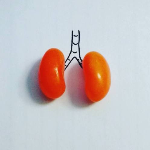 jelly bean lungs